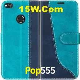 Estatísticas do Jogo Pop555